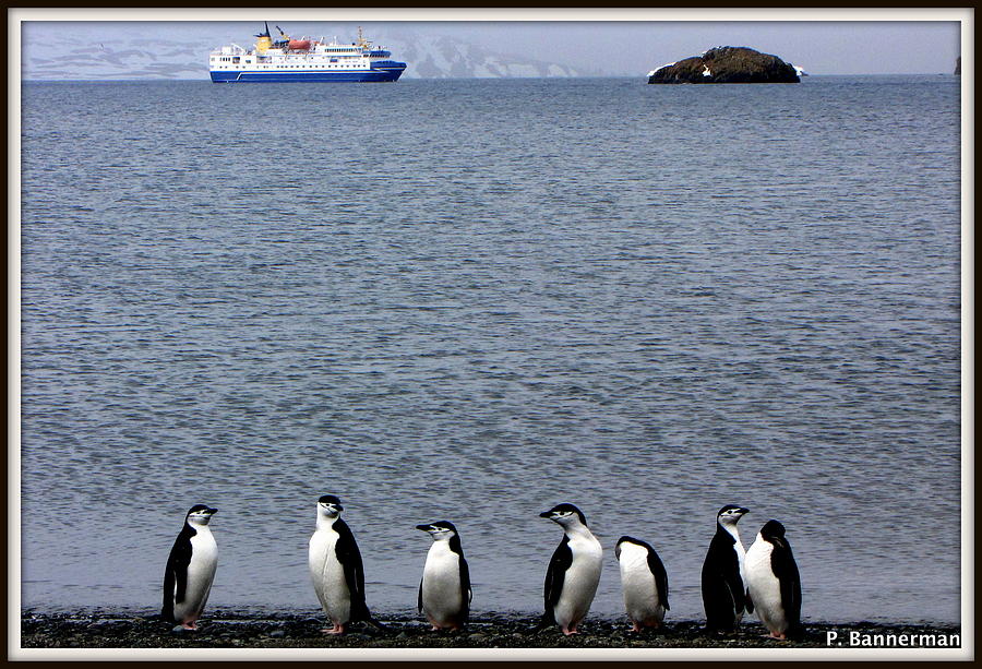 Antarctica #24 Photograph by Paul James Bannerman