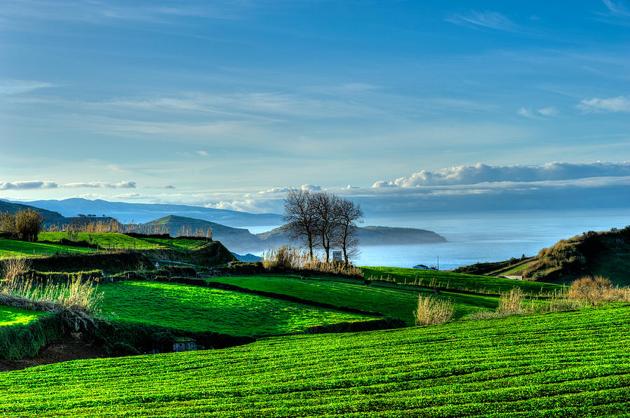 Azores Landscapes #24 Photograph by Joseph Amaral