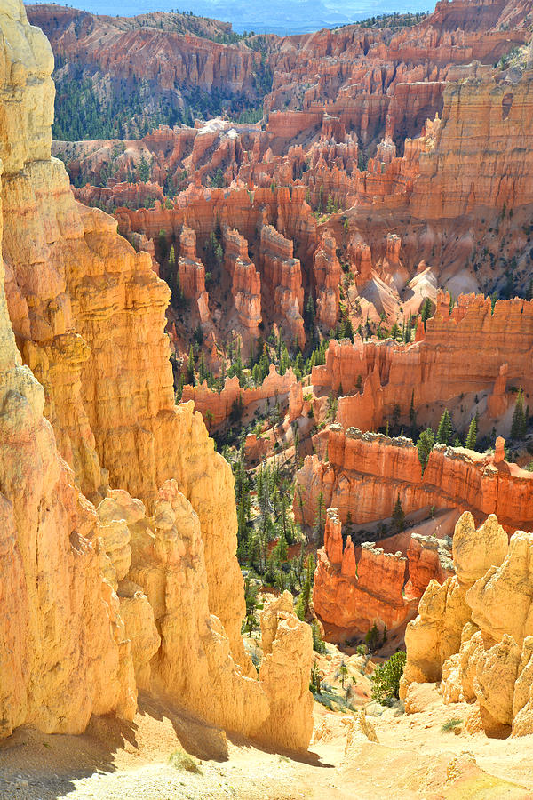 Bryce Canyon #19 Photograph by Ray Mathis