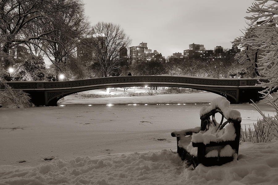 Central Park winter #24 Photograph by Songquan Deng