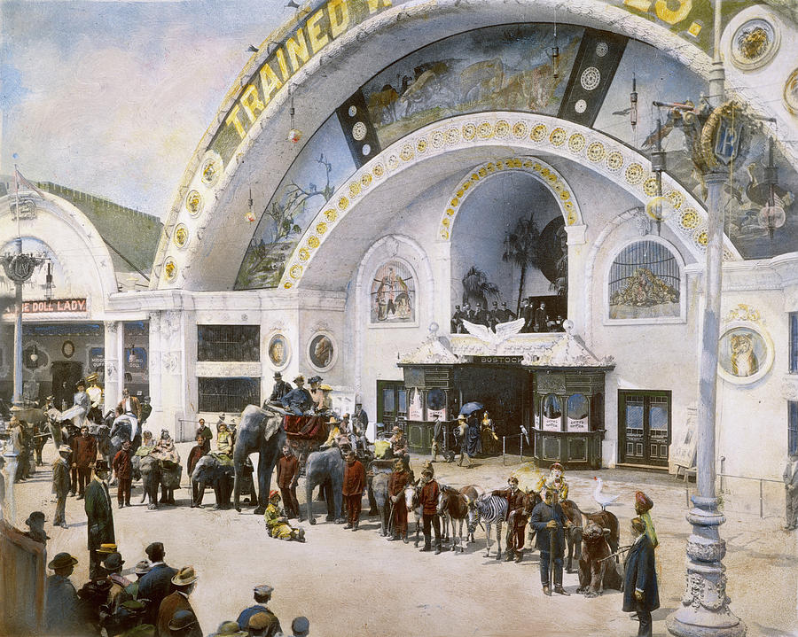 Columbian Exposition, 1893 #24 Photograph by Granger - Pixels