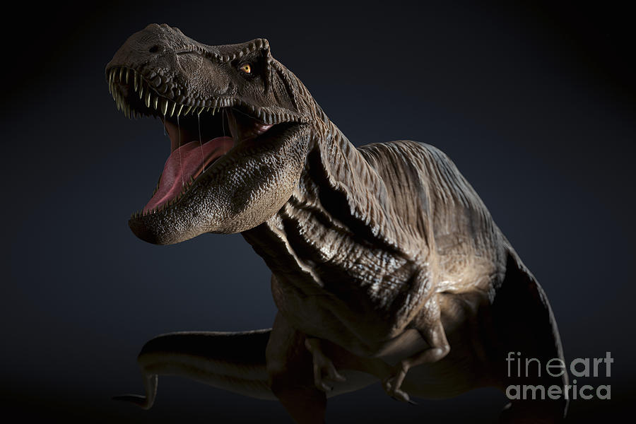 Dinosaur Tyrannosaurus #24 Photograph by Science Picture Co