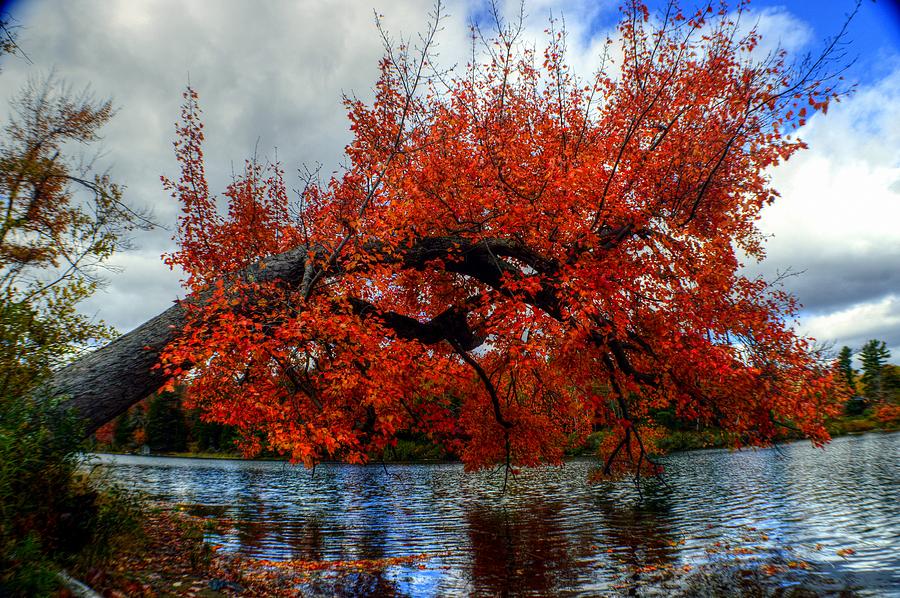 Fall Foliage in Massachusetts USA #24 Photograph by Paul James Bannerman