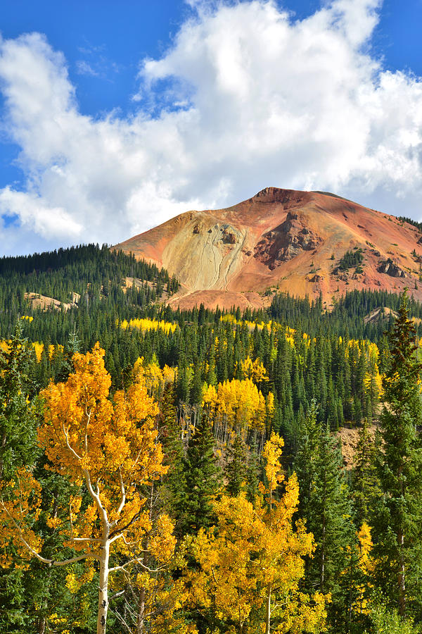 Red Mountain Pass Fall Colors Photograph