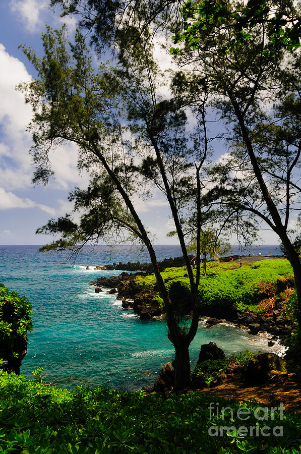 Spectacular ocean view on the Road to Hana Maui Hawaii USA #24 Photograph by Don Landwehrle
