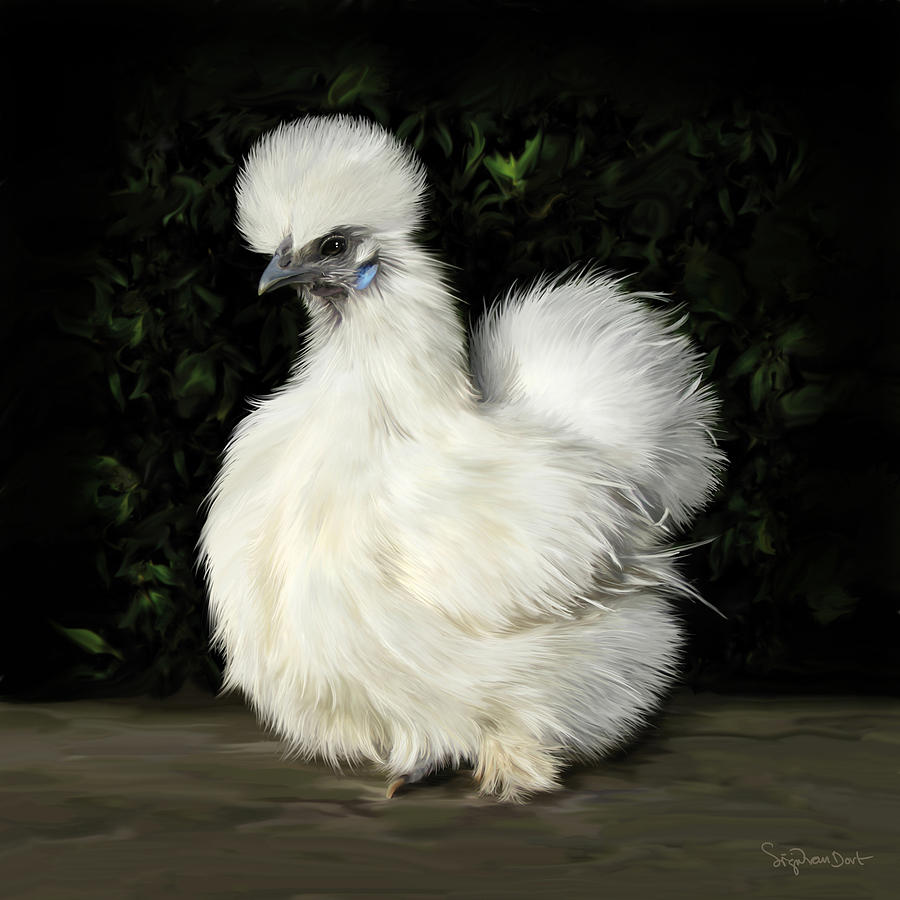 Chicken Digital Art - 24. Tiny White Silkie by Sigrid Van Dort Chicken Digital Art - 24. Tiny White Silkie by Sigrid Van Dort