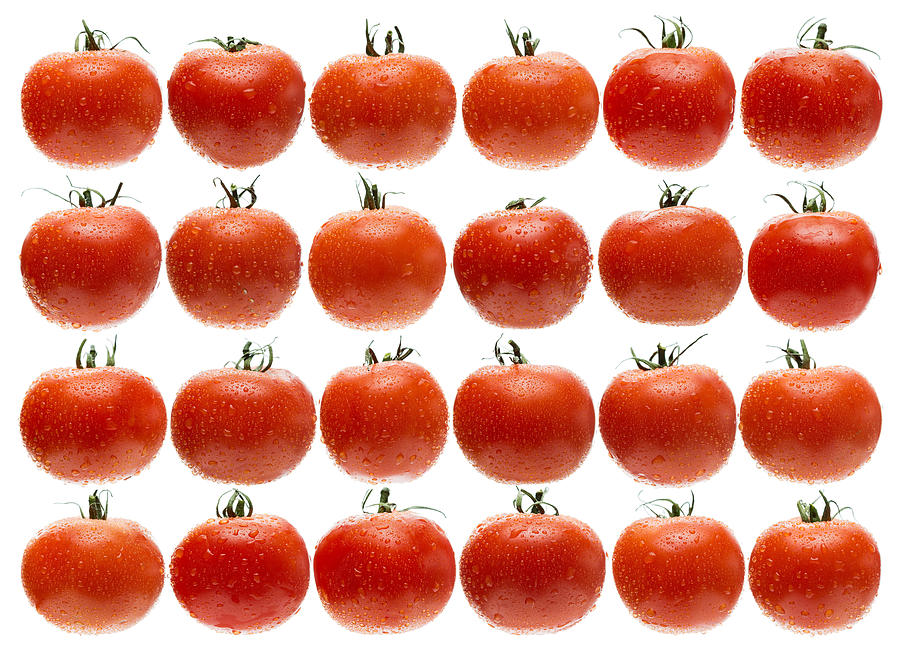 Tomato Photograph - 24 Tomatoes by Steve Gadomski