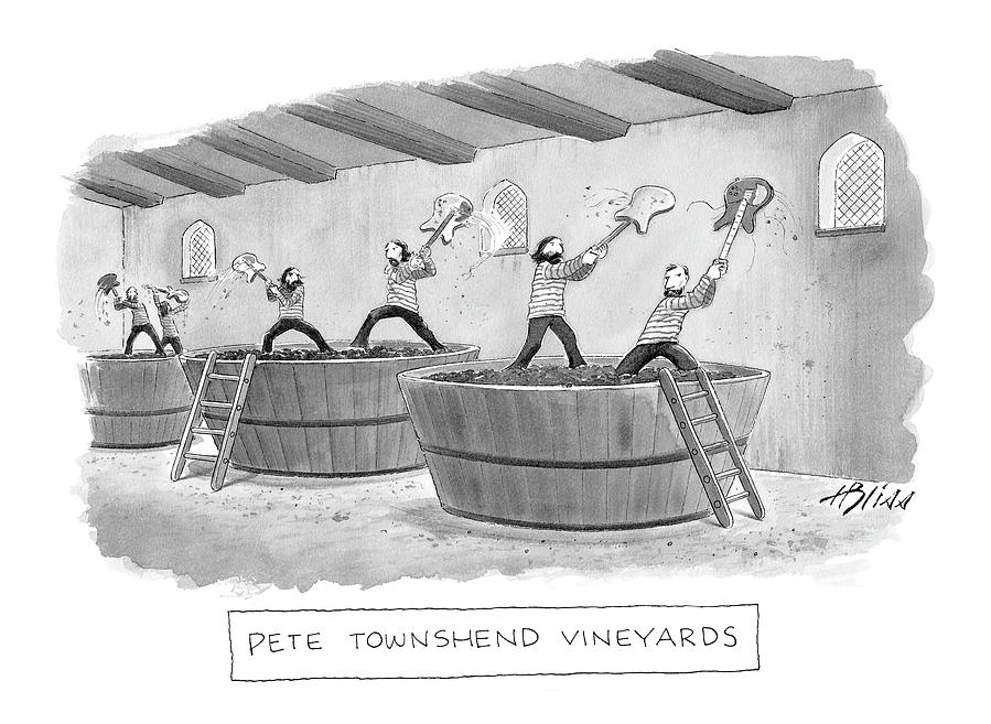 Pete Townshend Vineyards Drawing by Harry Bliss