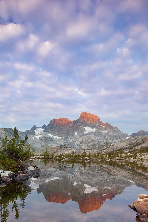Landscape Photograph - USA, California, Inyo National Forest #24 by Jaynes Gallery
