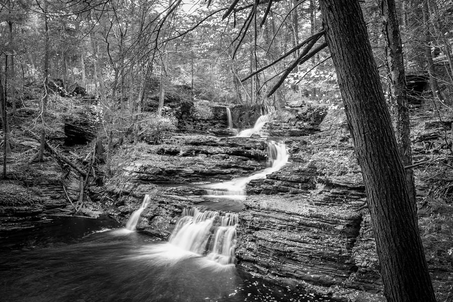 Waterfalls George W Childs National Park Painted BW   #24 Photograph by Rich Franco