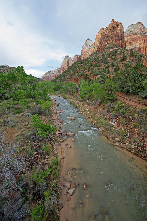 Zion National Park #24 Photograph by Willie Harper