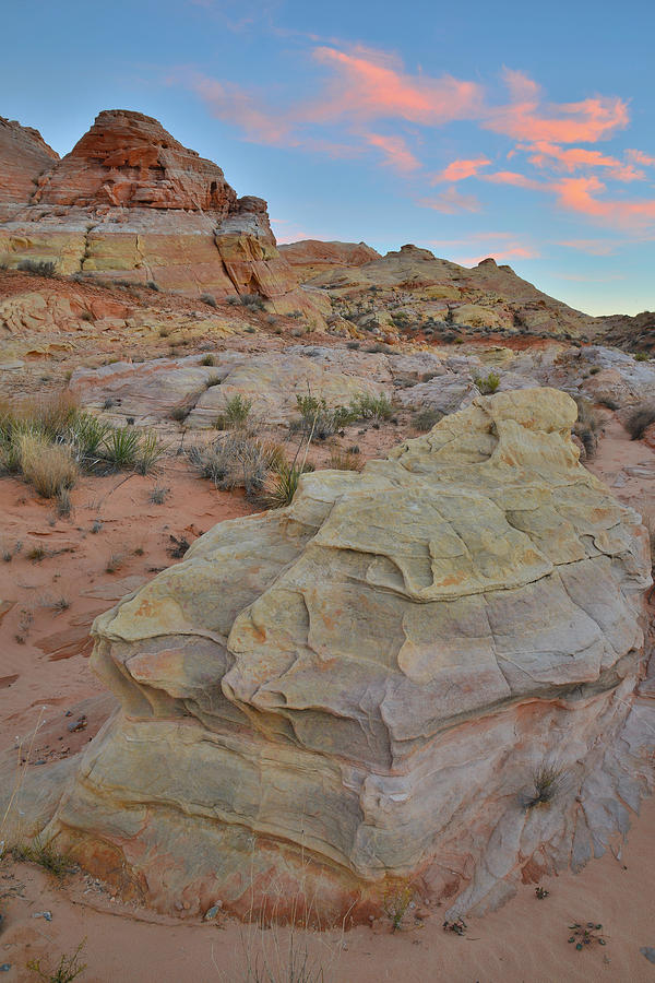Valley of Fire #252 Photograph by Ray Mathis