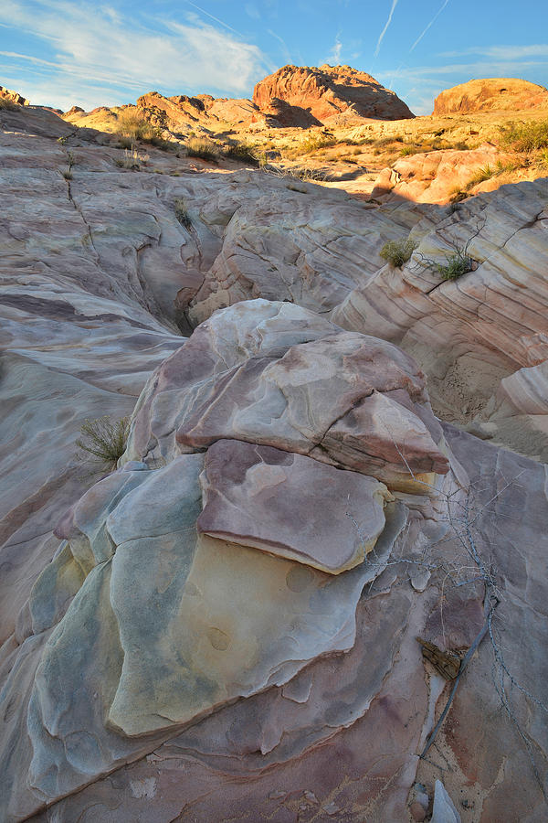 Valley of Fire #245 Photograph by Ray Mathis