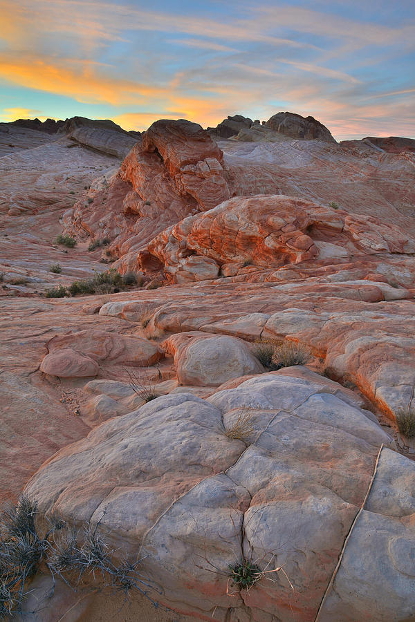 Valley of Fire #247 Photograph by Ray Mathis