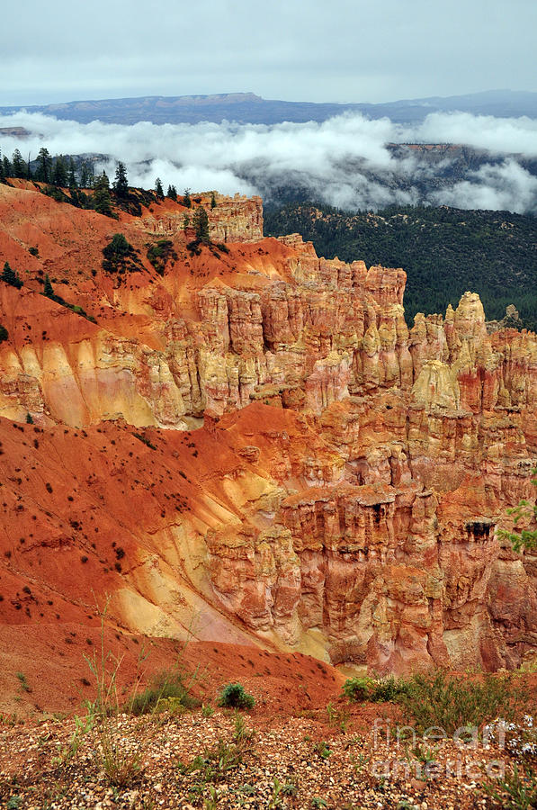249P Bryce Canyon Photograph by NightVisions