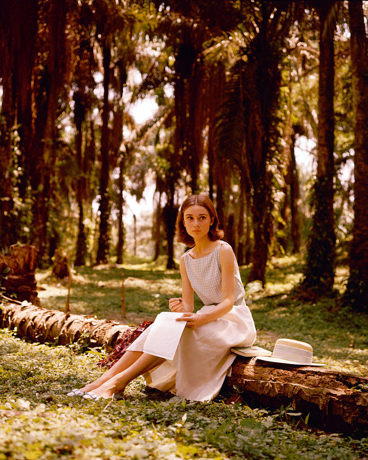 Audrey Hepburn Photograph - Audrey Hepburn #25 by Silver Screen