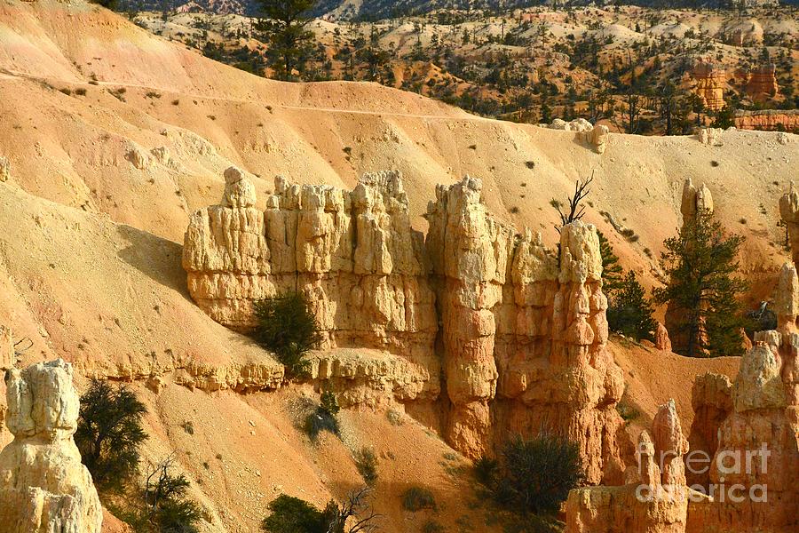 Bryce Canyon #25 Photograph by Marc Bittan
