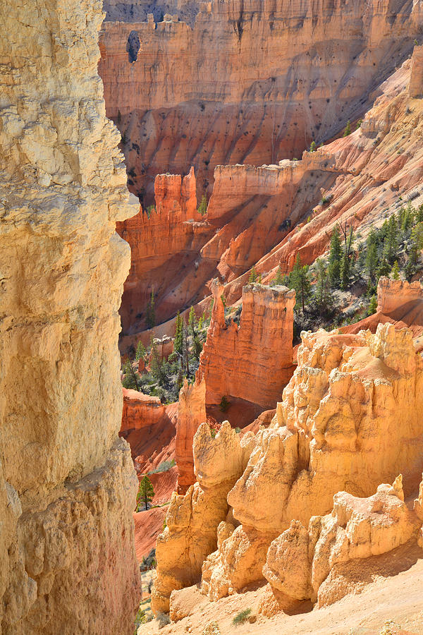 Bryce Canyon #23 Photograph by Ray Mathis