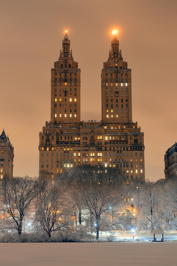 Central Park winter #25 Photograph by Songquan Deng
