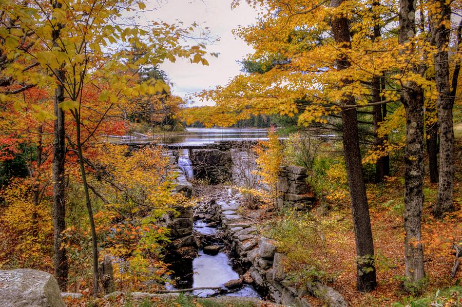 Fall Foliage in Massachusetts USA #25 Photograph by Paul James Bannerman