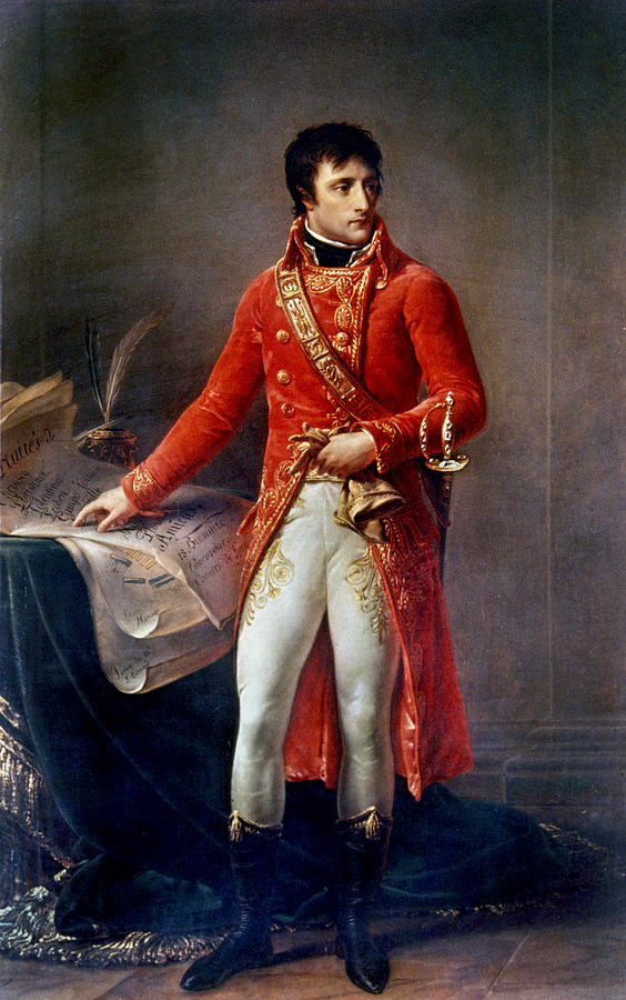 Napoleon Bonaparte #1 Painting by Baron Antoine-Jean Gros