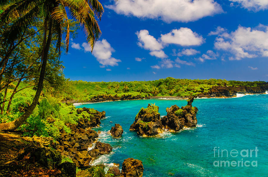 Spectacular ocean view on the Road to Hana Maui Hawaii USA #25 Photograph by Don Landwehrle