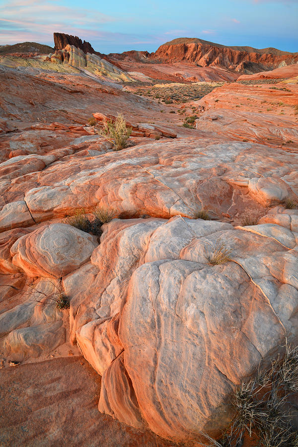 Valley of Fire #435 Photograph by Ray Mathis