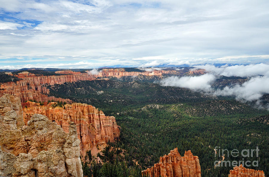 251P Bryce Canyon Photograph by NightVisions