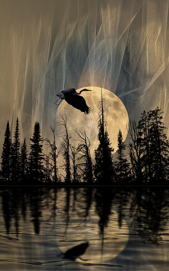 2526 Photograph by Peter Holme III