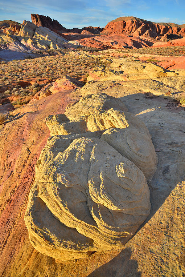 Valley of Fire #261 Photograph by Ray Mathis