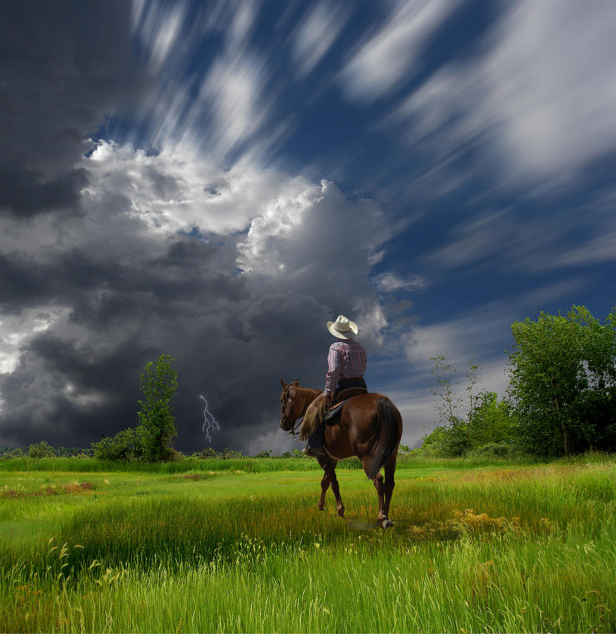 Horse Photograph - 2533 by Peter Holme III