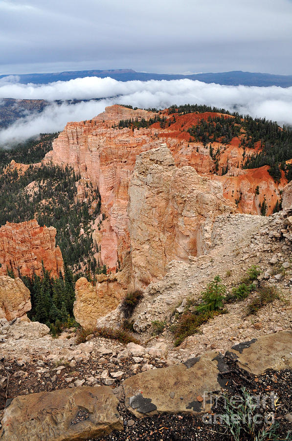 253P Bryce Canyon Photograph by NightVisions