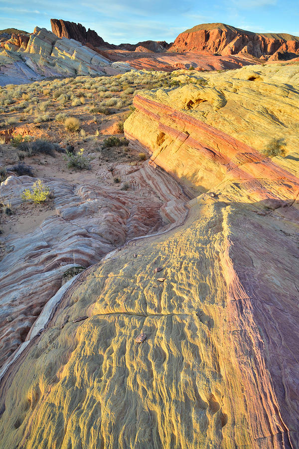 Valley of Fire #266 Photograph by Ray Mathis