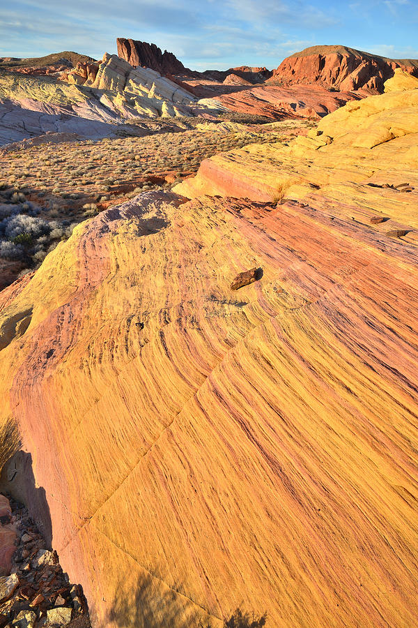 Valley of Fire #253 Photograph by Ray Mathis