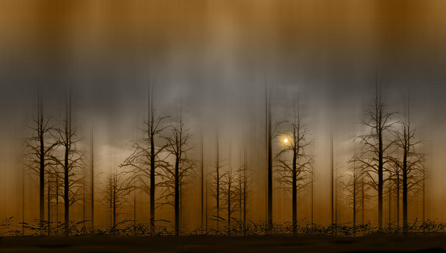 2572 Photograph by Peter Holme III