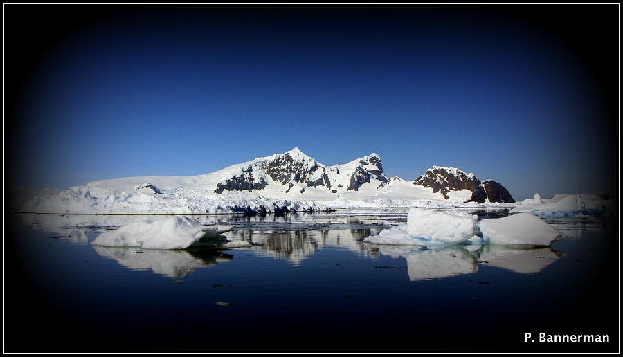 Antarctica #26 Photograph by Paul James Bannerman