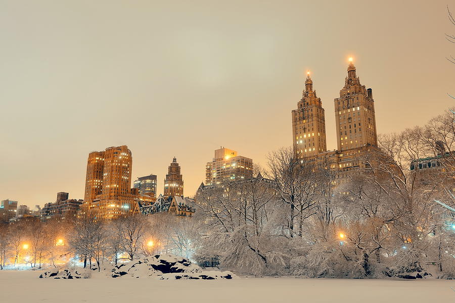Central Park winter #26 Photograph by Songquan Deng