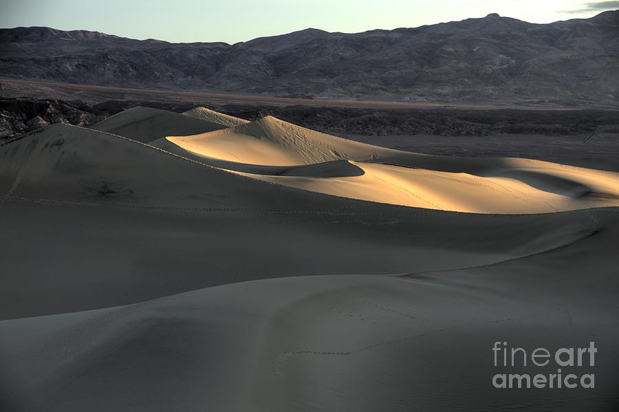 Death Valley #26 Photograph by Marc Bittan