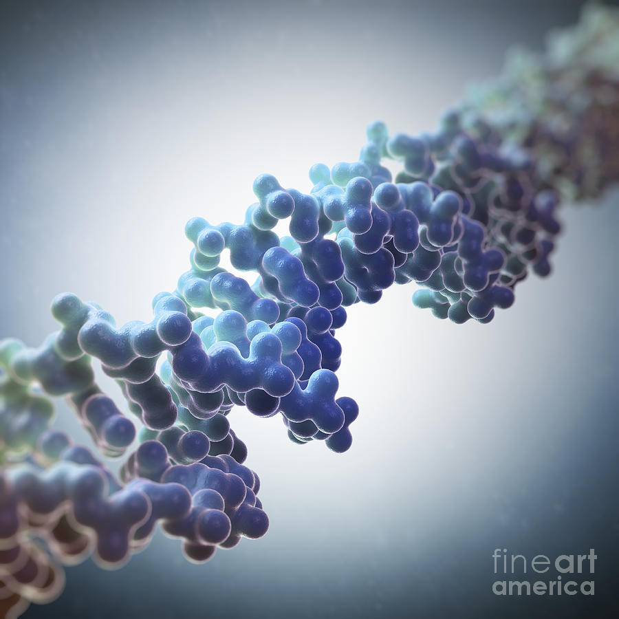 Human Dna #26 Photograph by Science Picture Co