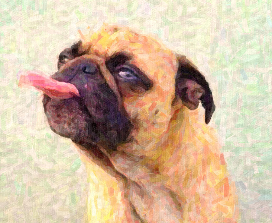 Pug the dog Painting by MotionAge Designs