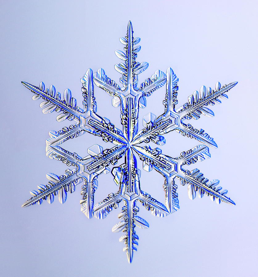 Snowflake #26 Photograph by Kenneth Libbrecht/science Photo Library