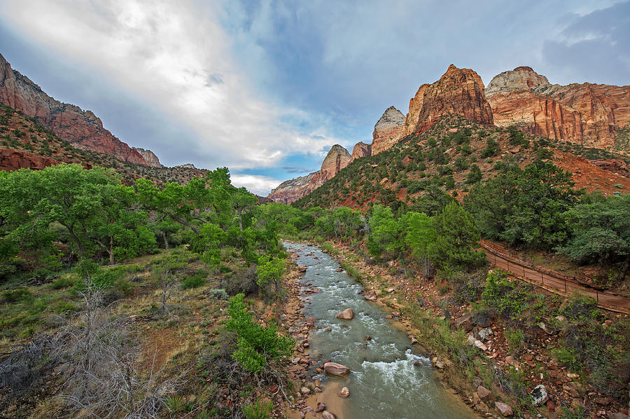 Zion National Park #26 Photograph by Willie Harper