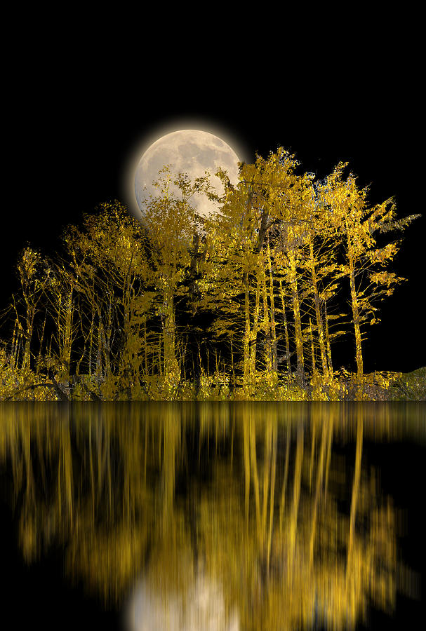 2607 Photograph by Peter Holme III
