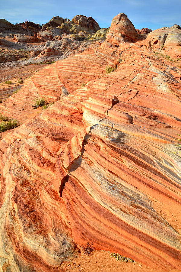Valley of Fire #210 Photograph by Ray Mathis