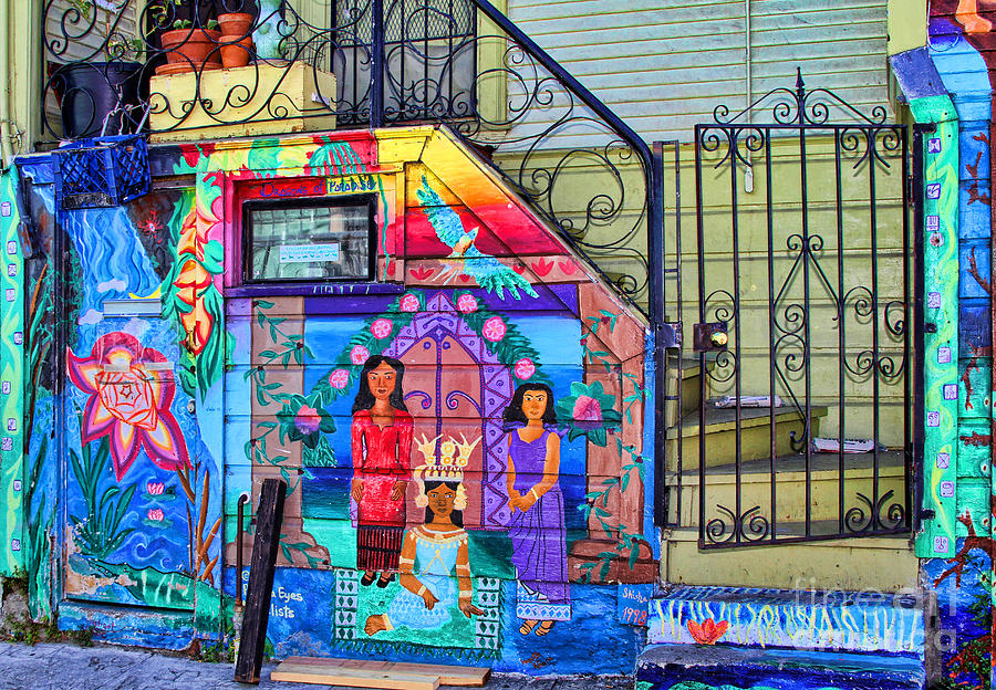 27 Balmy Alley San Francisco Photograph by Diana Raquel Sainz