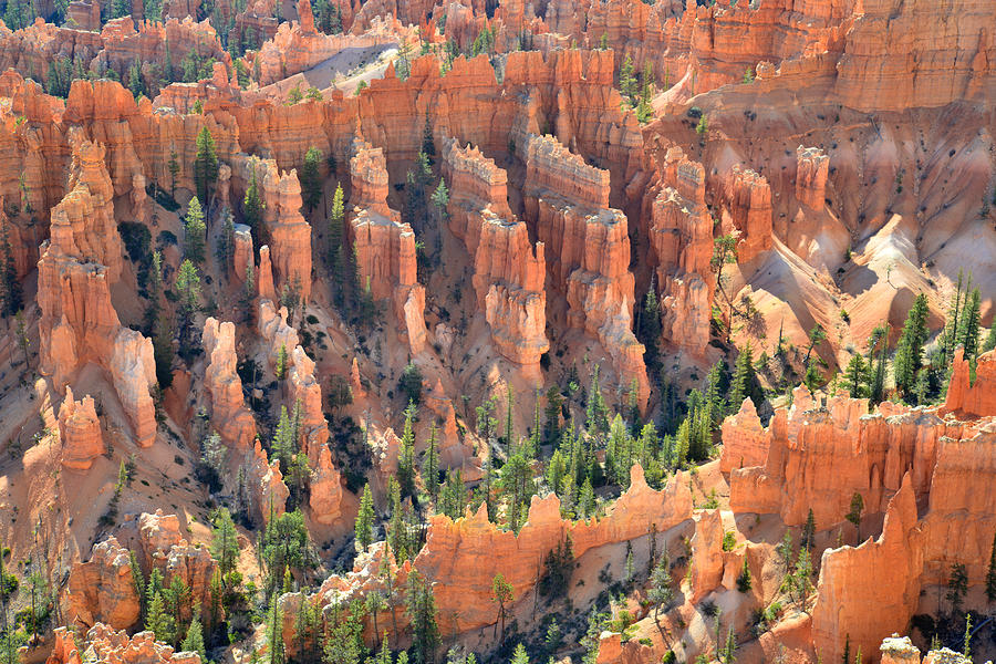 Bryce Canyon #45 Photograph by Ray Mathis