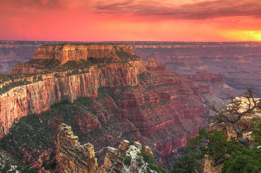 Grand Canyon National Park Photograph by Michele Falzone