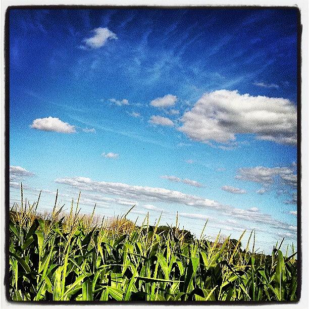 Landscape Photograph - Instagram Photo #27 by Aaron Kremer