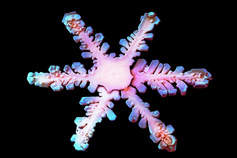 Christmas Photograph - Snowflake #27 by Ars/us Dept Of Agriculture