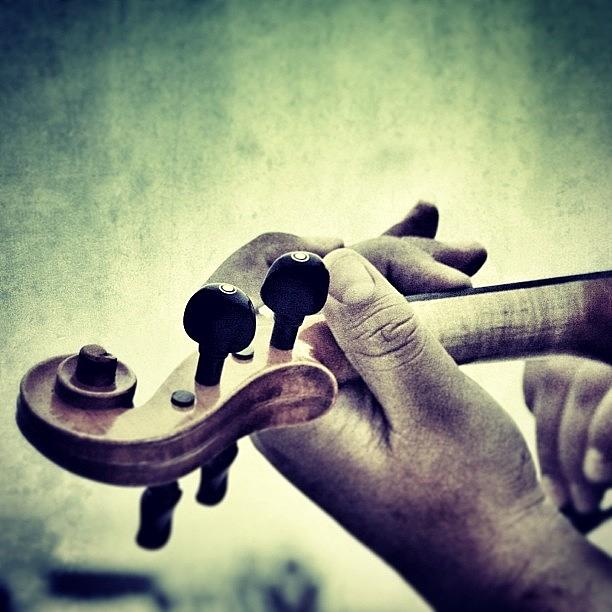 Violin Photograph - Instagram Photo #271383954747 by Antonella Partigliani